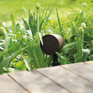 Extend the Experience Outdoors