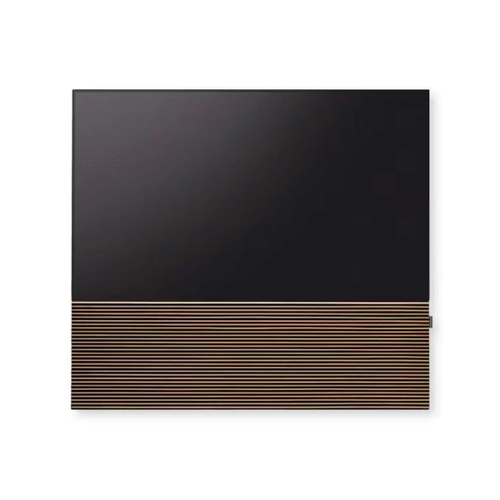 CANVAS TV Hi-Fi System
