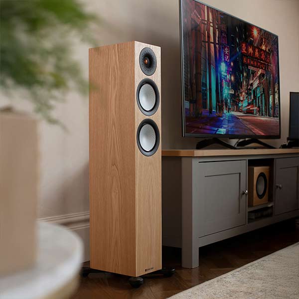 Floorstanding speakers