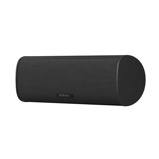 Piega Ace Center Speaker
