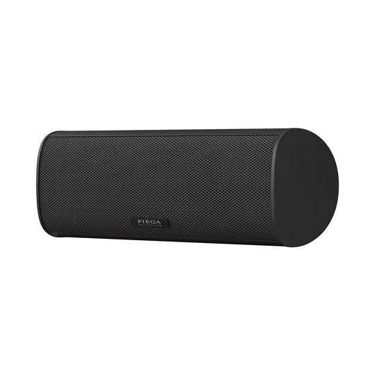 Piega Ace Center Speaker