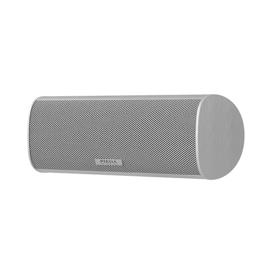 Piega Ace Center Speaker