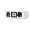 Piega Coax 211 Center Speaker