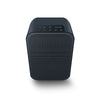 Bluesound Pulse Flex 2i Wireless Speaker